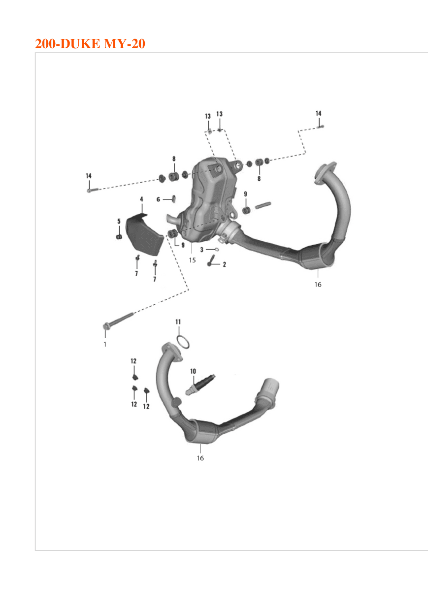 Exhaust System