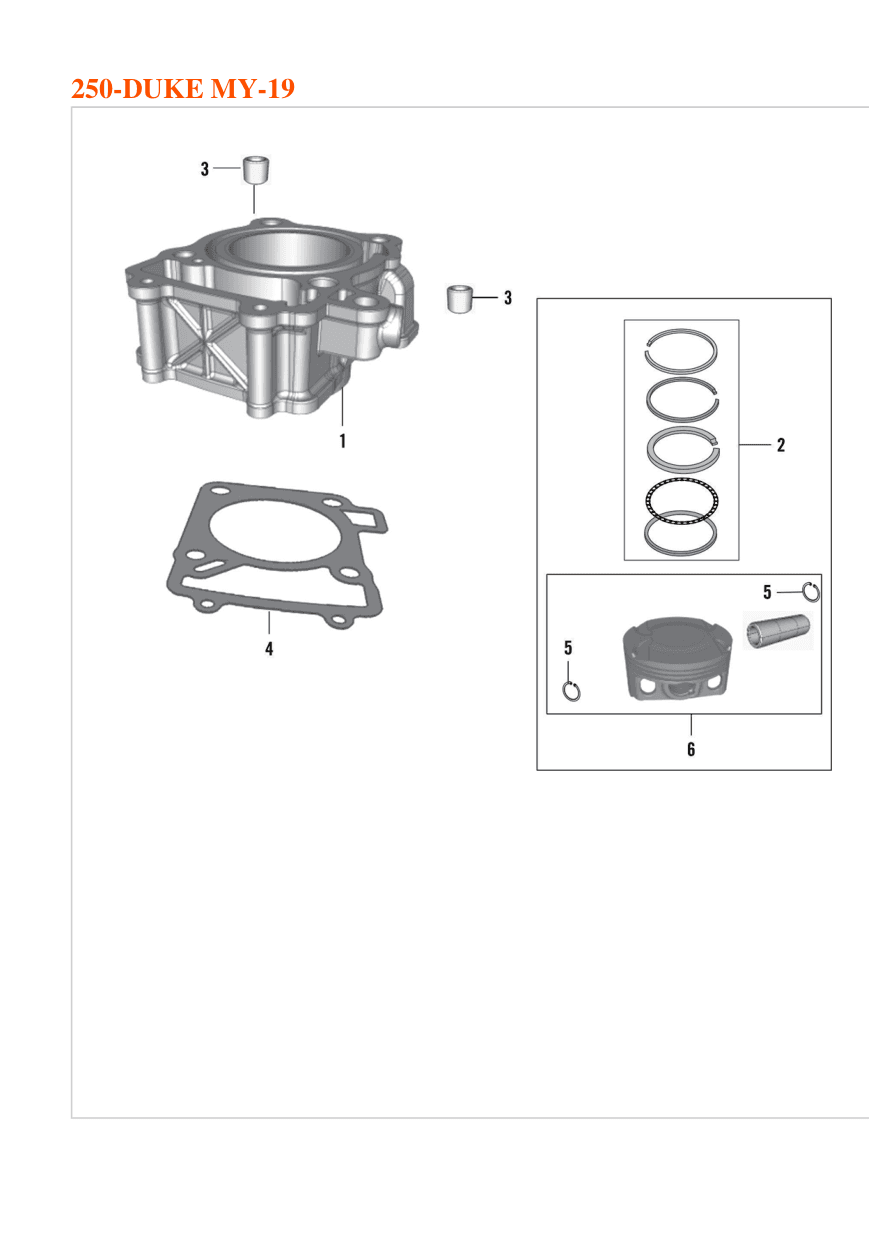 PISTON ASSEMBLY-KT10