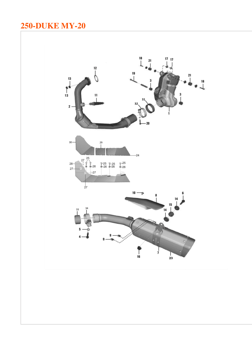 Exhaust System