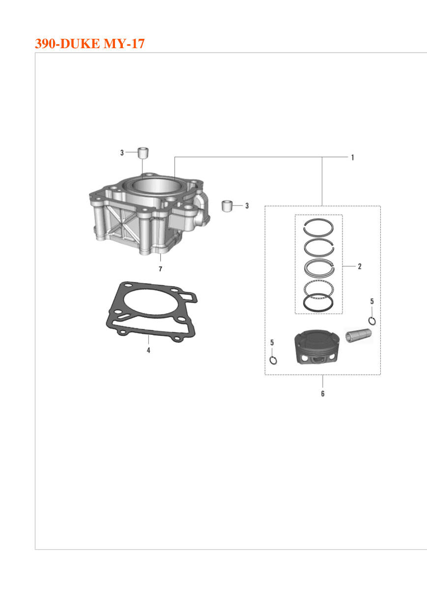 Cylinder Piston