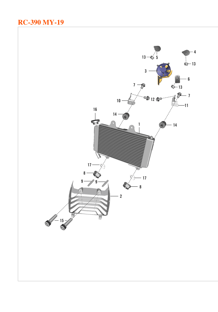 Radiator Assembly
