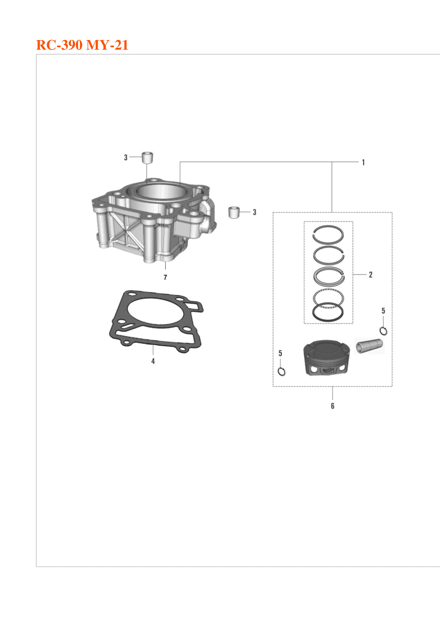 Cylinder Piston