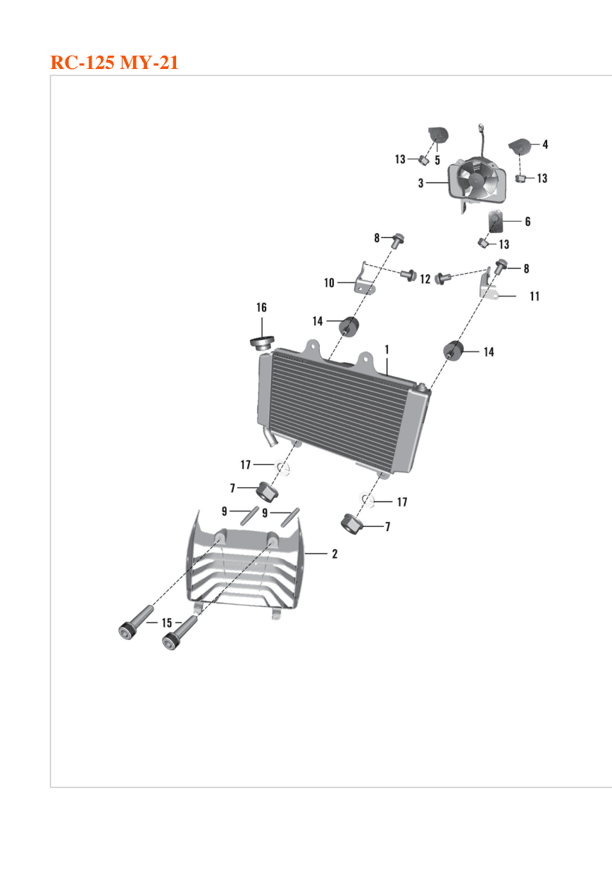 Radiator Assembly